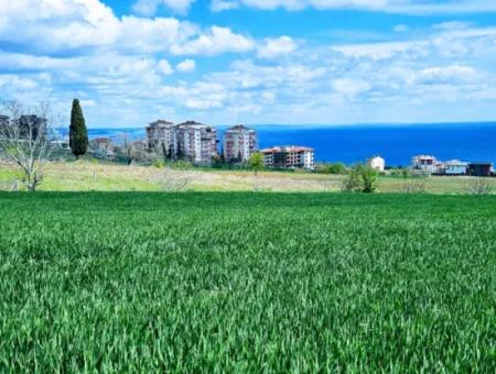 Tekirdağ Barbarosta Acil Satılık Lüxs Proje Uygula Full Deniz Ve Doğa Manzarasıyla Harika Koopretif Site Yap. Yüksek Kazanç Garantisi