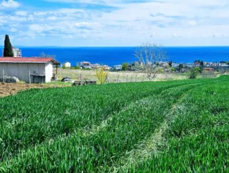 Tekirdağ Barbarosta Acil Satılık Lüxs Proje Uygula Full Deniz Ve Doğa Manzarasıyla Harika Koopretif Site Yap. Yüksek Kazanç Garantisi