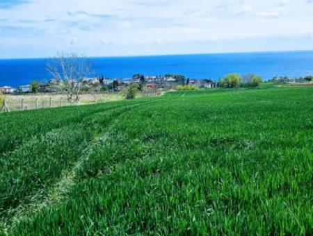 Tekirdağ Barbarosta Acil Satılık Lüxs Proje Uygula Full Deniz Ve Doğa Manzarasıyla Harika Koopretif Site Yap. Yüksek Kazanç Garantisi