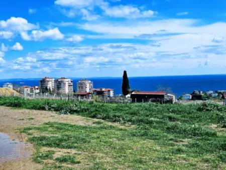 Tekirdağ Barbarosta Acil Satılık Lüxs Proje Uygula Full Deniz Ve Doğa Manzarasıyla Harika Koopretif Site Yap. Yüksek Kazanç Garantisi