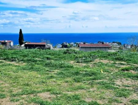 Tekirdağ Barbarosta Acil Satılık Lüxs Proje Uygula Full Deniz Ve Doğa Manzarasıyla Harika Koopretif Site Yap. Yüksek Kazanç Garantisi