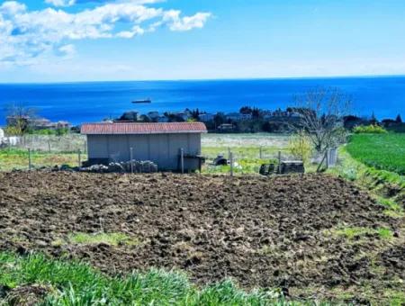 Tekirdağ Barbarosta Acil Satılık Lüxs Proje Uygula Full Deniz Ve Doğa Manzarasıyla Harika Koopretif Site Yap. Yüksek Kazanç Garantisi