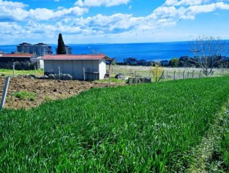 Tekirdağ Barbarosta Acil Satılık Lüxs Proje Uygula Full Deniz Ve Doğa Manzarasıyla Harika Koopretif Site Yap. Yüksek Kazanç Garantisi