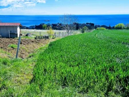 Tekirdağ Barbarosta Acil Satılık Lüxs Proje Uygula Full Deniz Ve Doğa Manzarasıyla Harika Koopretif Site Yap. Yüksek Kazanç Garantisi