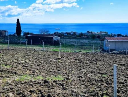 Tekirdağ Barbarosta Acil Satılık Lüxs Proje Uygula Full Deniz Ve Doğa Manzarasıyla Harika Koopretif Site Yap. Yüksek Kazanç Garantisi