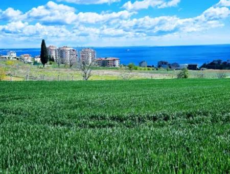 Tekirdağ Barbarosta Acil Satılık Lüxs Proje Uygula Full Deniz Ve Doğa Manzarasıyla Harika Koopretif Site Yap. Yüksek Kazanç Garantisi