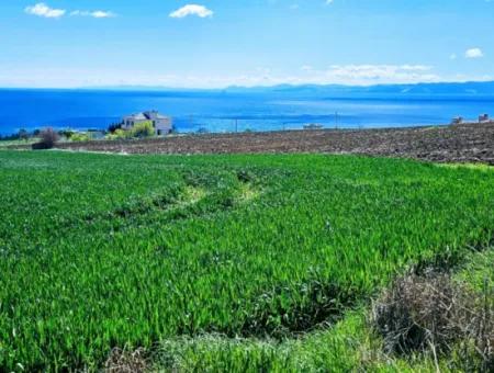 Tekirdağ Barbarosta Acil Satılık Lüxs Proje Uygula Full Deniz Ve Doğa Manzarasıyla Harika Koopretif Site Yap. Yüksek Kazanç Garantisi