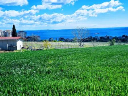 Tekirdağ Barbarosta Acil Satılık Lüxs Proje Uygula Full Deniz Ve Doğa Manzarasıyla Harika Koopretif Site Yap. Yüksek Kazanç Garantisi