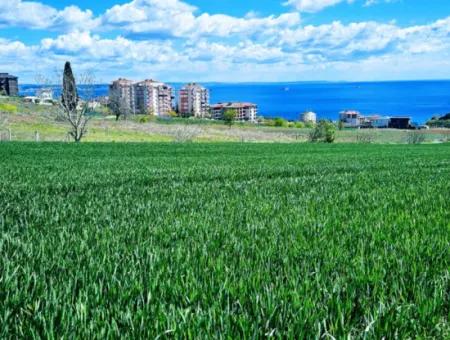 Tekirdağ Barbarosta Acil Satılık Lüxs Proje Uygula Full Deniz Ve Doğa Manzarasıyla Harika Koopretif Site Yap. Yüksek Kazanç Garantisi