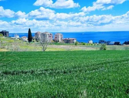 Tekirdağ Barbarosta Acil Satılık Lüxs Proje Uygula Full Deniz Ve Doğa Manzarasıyla Harika Koopretif Site Yap. Yüksek Kazanç Garantisi