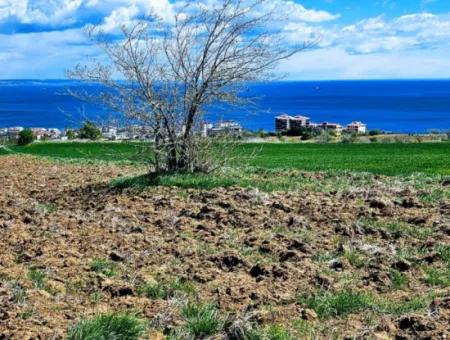 Bu Fırsat Kaçmaz** Full Deniz Ve Doğa Manzaralı** Lüxs Proje Uygula İster Konut Yap İster Villa Yap** Yüksek Kazanç Garantisi