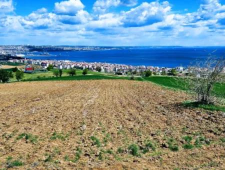 Bu Fırsat Kaçmaz** Full Deniz Ve Doğa Manzaralı** Lüxs Proje Uygula İster Konut Yap İster Villa Yap** Yüksek Kazanç Garantisi