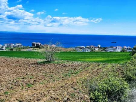 Bu Fırsat Kaçmaz** Full Deniz Ve Doğa Manzaralı** Lüxs Proje Uygula İster Konut Yap İster Villa Yap** Yüksek Kazanç Garantisi