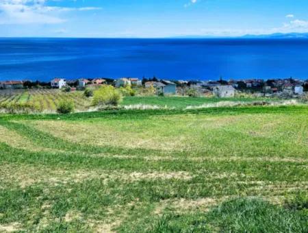 Full Deniz Ve Doğa Manzara Alt Yapı Hazır Lüxs 45 Dairelik Kooparetif Ve Site Yapmaya Uygun Kupon Arazi