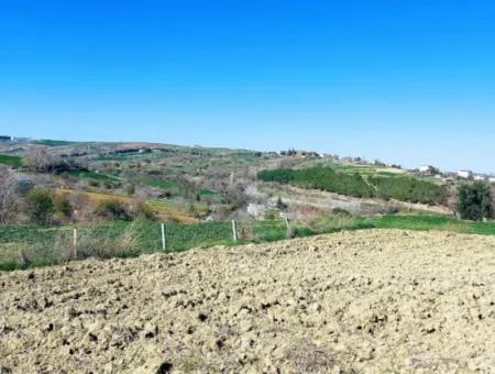 Yatırım Fırsatı: Tekirdağ Barbaros Satılık 615 M2 Köşe Arsa - Acil Satılık, Deniz Ve Doğa Manzaralı, %30 İmarlı