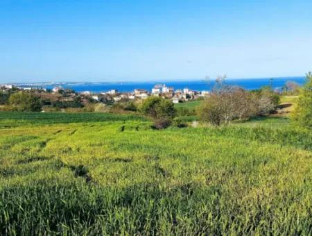 Yatırım Fırsatı: Tekirdağ Barbaros Satılık 615 M2 Köşe Arsa - Acil Satılık, Deniz Ve Doğa Manzaralı, %30 İmarlı