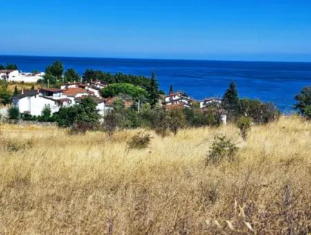 Tekirdağ Barbarosta Harika Konumda Denize Yakın Hayelinizseki Müstakil Ev Yapmaya Uygun Fırsat Arsa