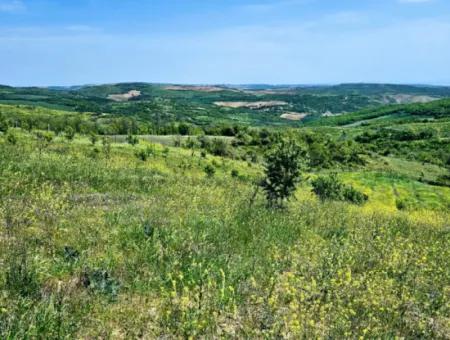 Acil Satılık Hayelinizdeki Çiftlği Kurmak İçin Harika Bir Fırsat 2.600 Dönüm Mera Cepheli