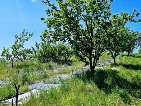 Acil Satılık Hayelinizdeki Çiftlği Kurmak İçin Harika Bir Fırsat 2.600 Dönüm Mera Cepheli