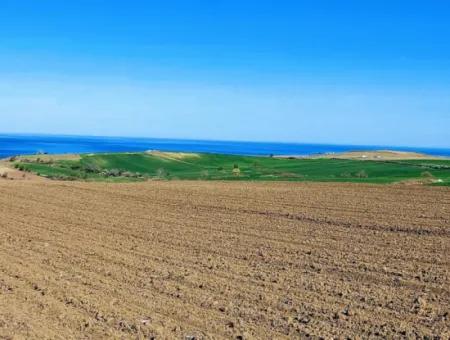 Tekirdağ Barbarosta Lüxs Villa Projeni Yap. Mütahitlere Kat Karşılığı Ver  Yüksek Kazanç Sağla Full Deniz Manzaralı Villa İmarlı Arazi