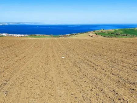 Tekirdağ Barbarosta Lüxs Villa Projeni Yap. Mütahitlere Kat Karşılığı Ver  Yüksek Kazanç Sağla Full Deniz Manzaralı Villa İmarlı Arazi