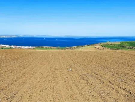 Tekirdağ Barbarosta Lüxs Villa Projeni Yap. Mütahitlere Kat Karşılığı Ver  Yüksek Kazanç Sağla Full Deniz Manzaralı Villa İmarlı Arazi