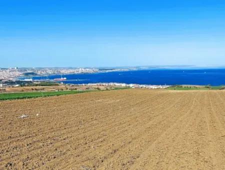 Tekirdağ Barbarosta Lüxs Villa Projeni Yap. Mütahitlere Kat Karşılığı Ver  Yüksek Kazanç Sağla Full Deniz Manzaralı Villa İmarlı Arazi
