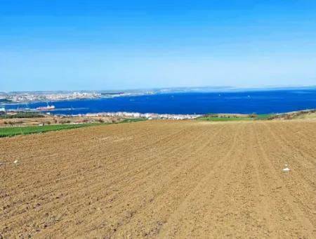 Tekirdağ Barbarosta Lüxs Villa Projeni Yap. Mütahitlere Kat Karşılığı Ver  Yüksek Kazanç Sağla Full Deniz Manzaralı Villa İmarlı Arazi