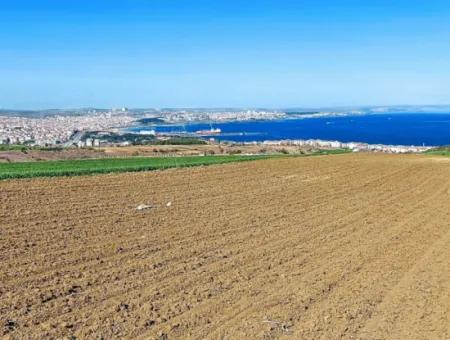 Tekirdağ Barbarosta Lüxs Villa Projeni Yap. Mütahitlere Kat Karşılığı Ver  Yüksek Kazanç Sağla Full Deniz Manzaralı Villa İmarlı Arazi
