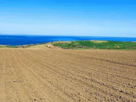 Tekirdağ Barbarosta Lüxs Villa Projeni Yap. Mütahitlere Kat Karşılığı Ver  Yüksek Kazanç Sağla Full Deniz Manzaralı Villa İmarlı Arazi