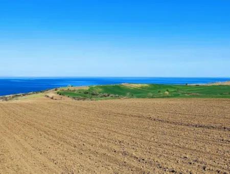 Tekirdağ Barbarosta Lüxs Villa Projeni Yap. Mütahitlere Kat Karşılığı Ver  Yüksek Kazanç Sağla Full Deniz Manzaralı Villa İmarlı Arazi