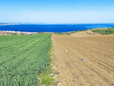 Tekirdağ Barbarosta Lüxs Villa Projeni Yap. Mütahitlere Kat Karşılığı Ver  Yüksek Kazanç Sağla Full Deniz Manzaralı Villa İmarlı Arazi