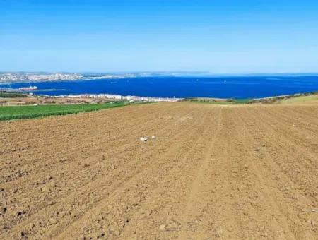 Tekirdağ Barbarosta Lüxs Villa Projeni Yap. Mütahitlere Kat Karşılığı Ver  Yüksek Kazanç Sağla Full Deniz Manzaralı Villa İmarlı Arazi