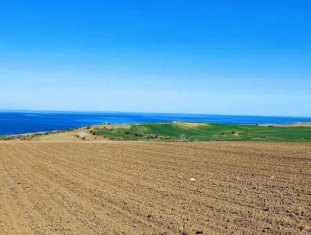 Tekirdağ Barbarosta Lüxs Villa Projeni Yap. Mütahitlere Kat Karşılığı Ver  Yüksek Kazanç Sağla Full Deniz Manzaralı Villa İmarlı Arazi