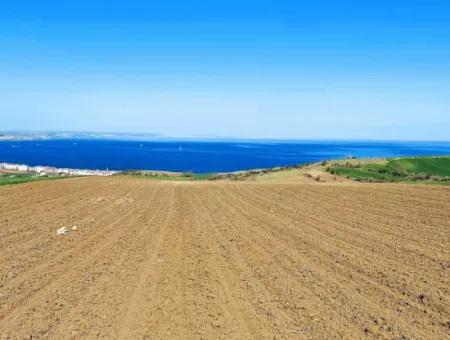 Tekirdağ Barbarosta Lüxs Villa Projeni Yap. Mütahitlere Kat Karşılığı Ver  Yüksek Kazanç Sağla Full Deniz Manzaralı Villa İmarlı Arazi