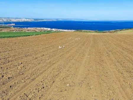 Tekirdağ Barbarosta Lüxs Villa Projeni Yap. Mütahitlere Kat Karşılığı Ver  Yüksek Kazanç Sağla Full Deniz Manzaralı Villa İmarlı Arazi