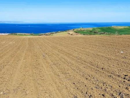 Tekirdağ Barbarosta Lüxs Villa Projeni Yap. Mütahitlere Kat Karşılığı Ver  Yüksek Kazanç Sağla Full Deniz Manzaralı Villa İmarlı Arazi