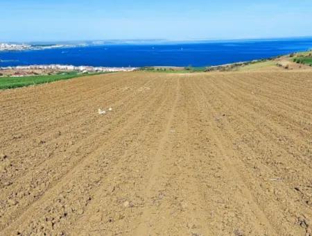 Tekirdağ Barbarosta Lüxs Villa Projeni Yap. Mütahitlere Kat Karşılığı Ver  Yüksek Kazanç Sağla Full Deniz Manzaralı Villa İmarlı Arazi