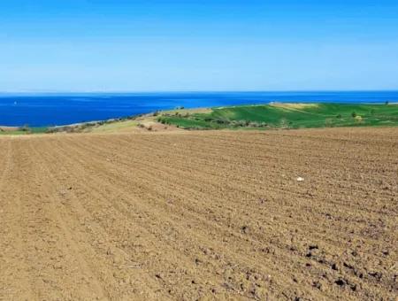 Tekirdağ Barbarosta Lüxs Villa Projeni Yap. Mütahitlere Kat Karşılığı Ver  Yüksek Kazanç Sağla Full Deniz Manzaralı Villa İmarlı Arazi