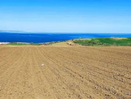 Tekirdağ Barbarosta Lüxs Villa Projeni Yap. Mütahitlere Kat Karşılığı Ver  Yüksek Kazanç Sağla Full Deniz Manzaralı Villa İmarlı Arazi