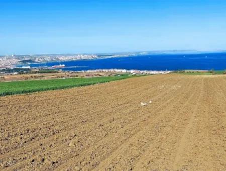 Tekirdağ Barbarosta Lüxs Villa Projeni Yap. Mütahitlere Kat Karşılığı Ver  Yüksek Kazanç Sağla Full Deniz Manzaralı Villa İmarlı Arazi