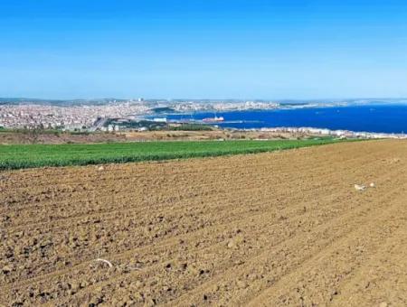 Tekirdağ Barbarosta Lüxs Villa Projeni Yap. Mütahitlere Kat Karşılığı Ver  Yüksek Kazanç Sağla Full Deniz Manzaralı Villa İmarlı Arazi
