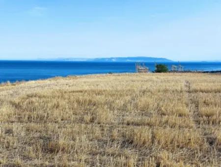 Tekirdağ Süleymanpaşa Barbaros'ta Bulunan Bu Harika Konumda, 47 Dairelik Kat Karşılığı Arazi