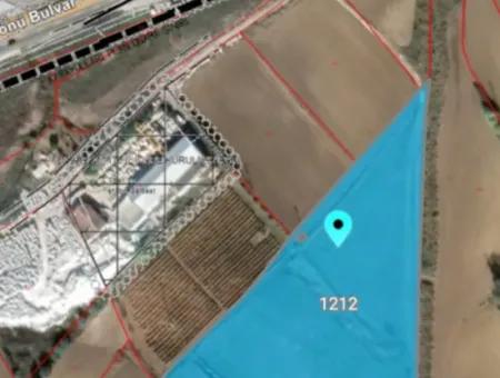 Tekirdağ Süleymanpaşa Nusratlı Asyaport Limanı Mevcut İmar Planı İçinde Satılık Tarla