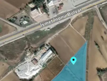 Tekirdağ Süleymanpaşa Nusratlı Asyaport Limanı Mevcut İmar Planı İçinde Satılık Tarla