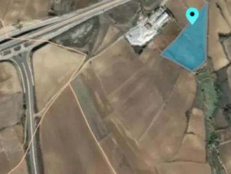 Tekirdağ Süleymanpaşa Nusratlı Asyaport Limanı Mevcut İmar Planı İçinde Satılık Tarla