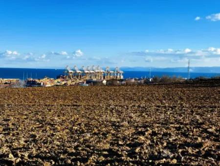 Tekirdağ Süleymanpaşa Barbaros Asyaport Limanına Çok Yakın  Konut İmarlı 17.500 M2 Satılık Tarla