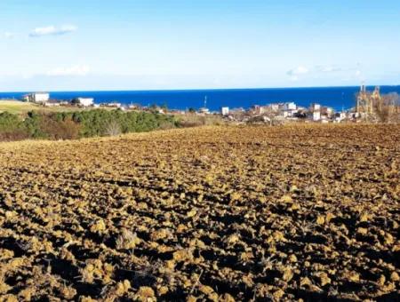 Tekirdağ Süleymanpaşa Barbaros Asyaport Limanına Çok Yakın  Konut İmarlı 17.500 M2 Satılık Tarla