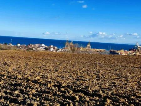 Tekirdağ'ın Süleymanpaşa Barbaros Mevkisinde Bulunan Eşsiz 17.800 M2 Konut İmarlı Arsa