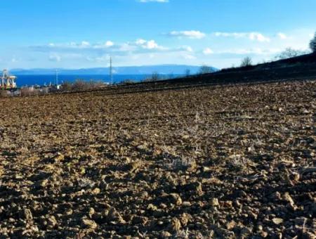 Tekirdağ'ın Süleymanpaşa Barbaros Mevkisinde Bulunan Eşsiz 17.800 M2 Konut İmarlı Arsa